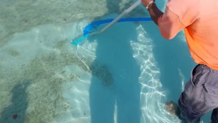 oxipool sus havuzu 2