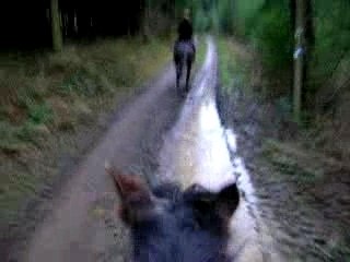 balade avec sarah (galop)