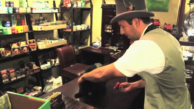 Cats Couldn’t Care Less About Magic For Cats