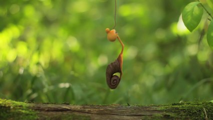 Kinomax Production | Смотреть HD фильмы онлайн бесплатно http://kinomaxpro.org/