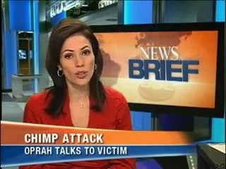 قرد ضخم يدمر وجه مراة مشهد مرعب نسال الله العافية