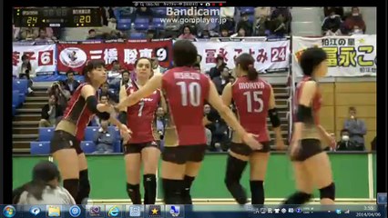 ハチさん、おかえりなさい