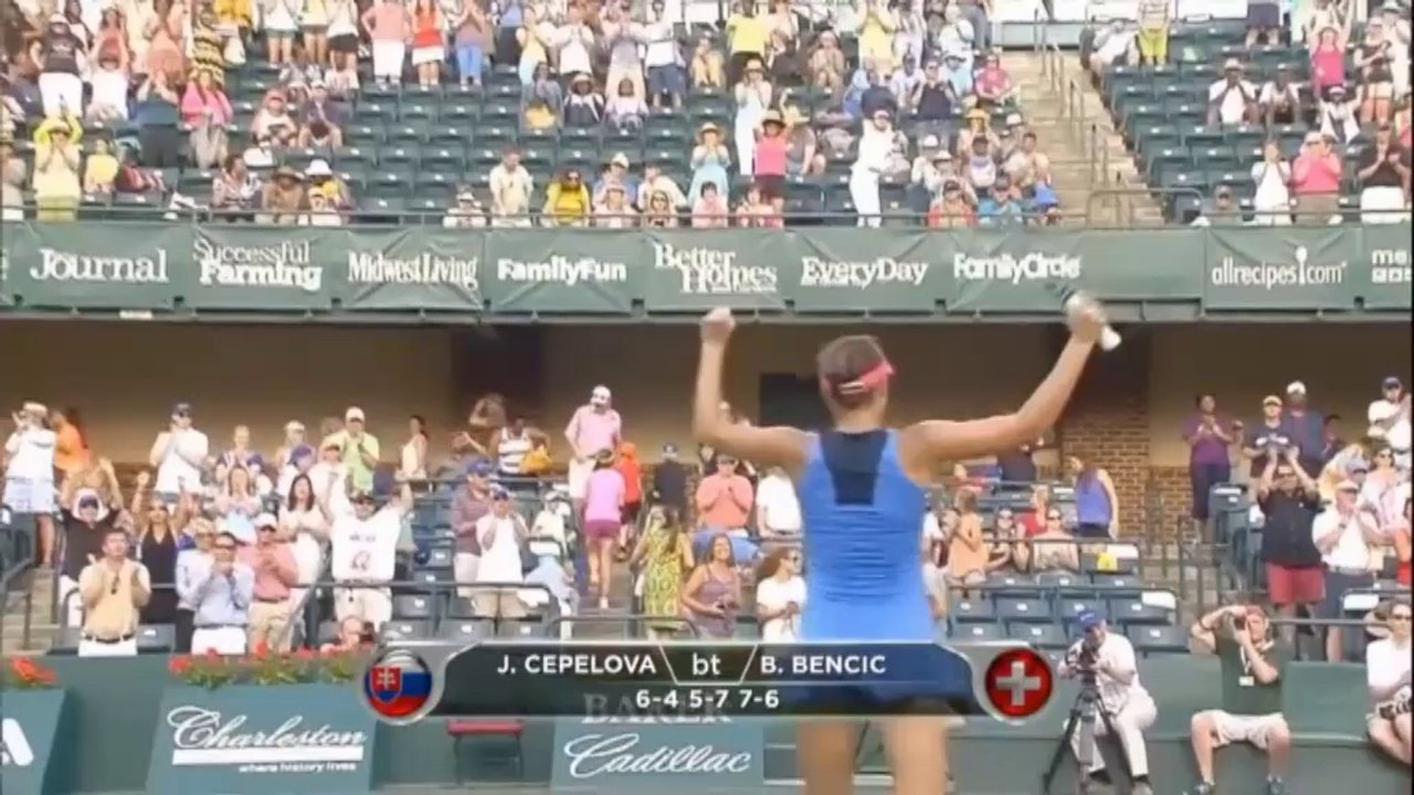 Charleston: Cepelova im Finale gegen Petkovic