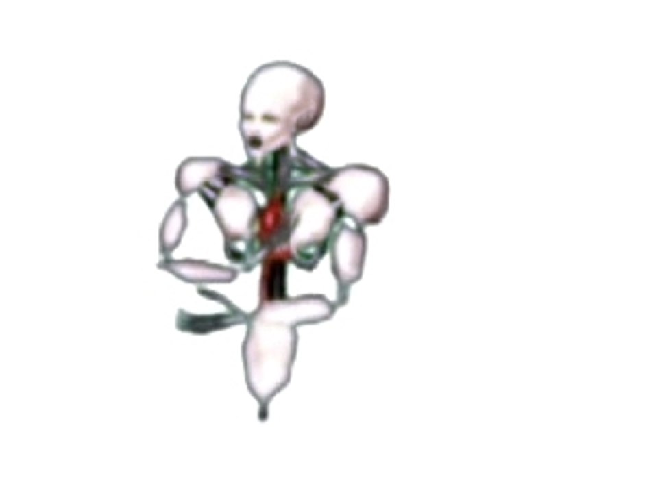 White Bot