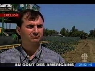 Les brocolis terroristes