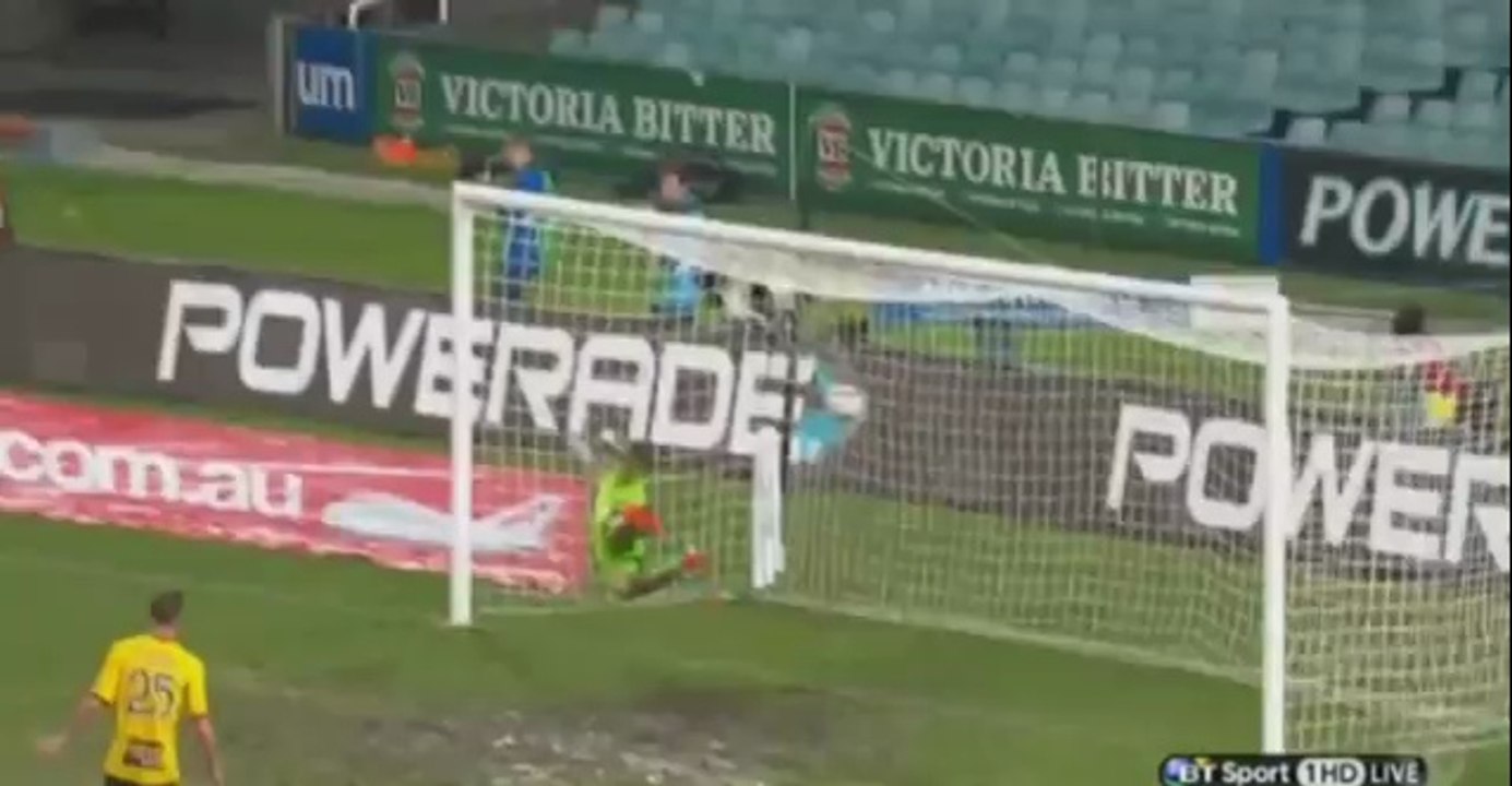 Alessandro Del Piero Fantastic Free Kick Goal FC Sydney vs Wellington Phoenix 2-0 HD 2014