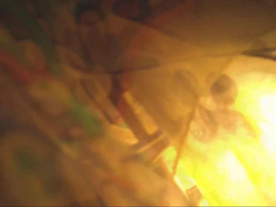 Joe Frawley...Faded Flowers