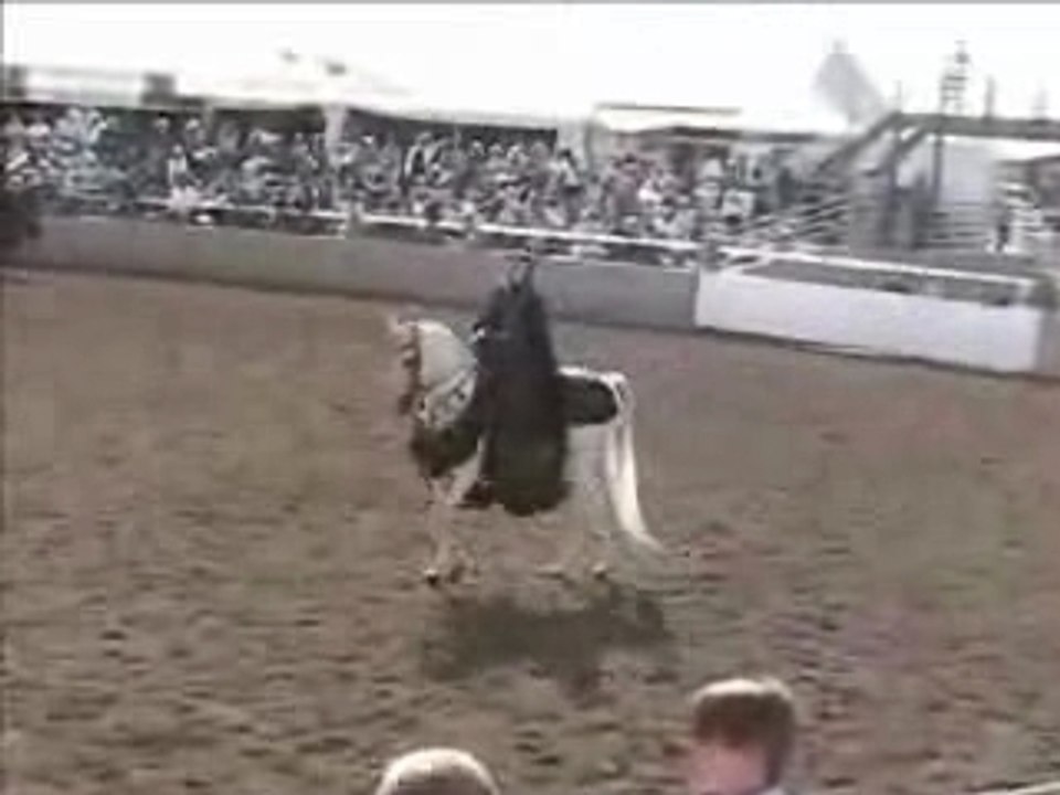 Scottsdale Native Costume