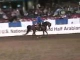 US Arabian Western Pleasure Open