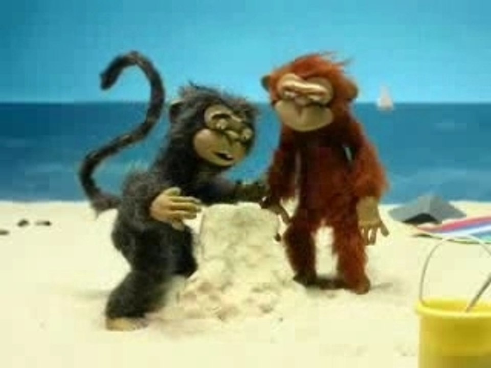 macaquinho tarado