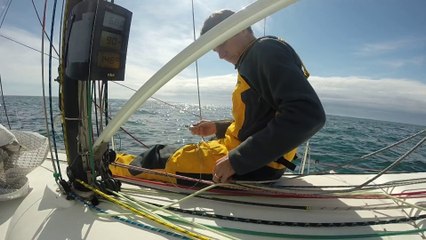 Papillon de retour vers Pornic