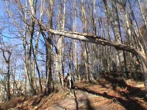 Autour de St Julien-en-Vercors