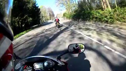 Spring ride through flower fields