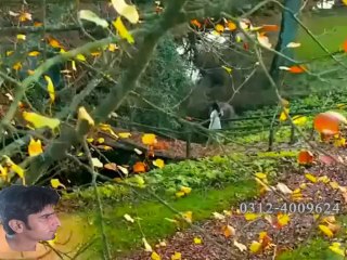 Hum bhi tanha thy tum bhi tanha thy