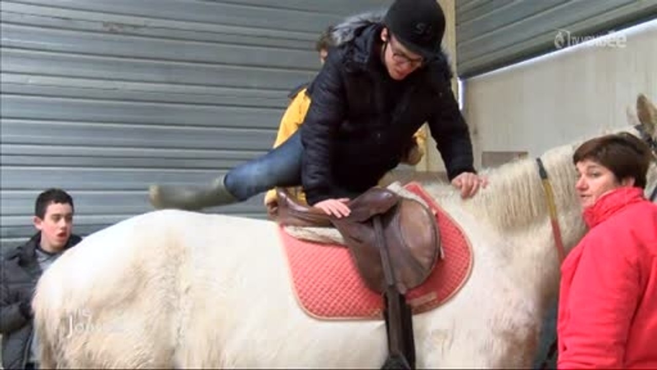 Handicap : Découverte de l’équithérapie (La Roche-sur-Yon)