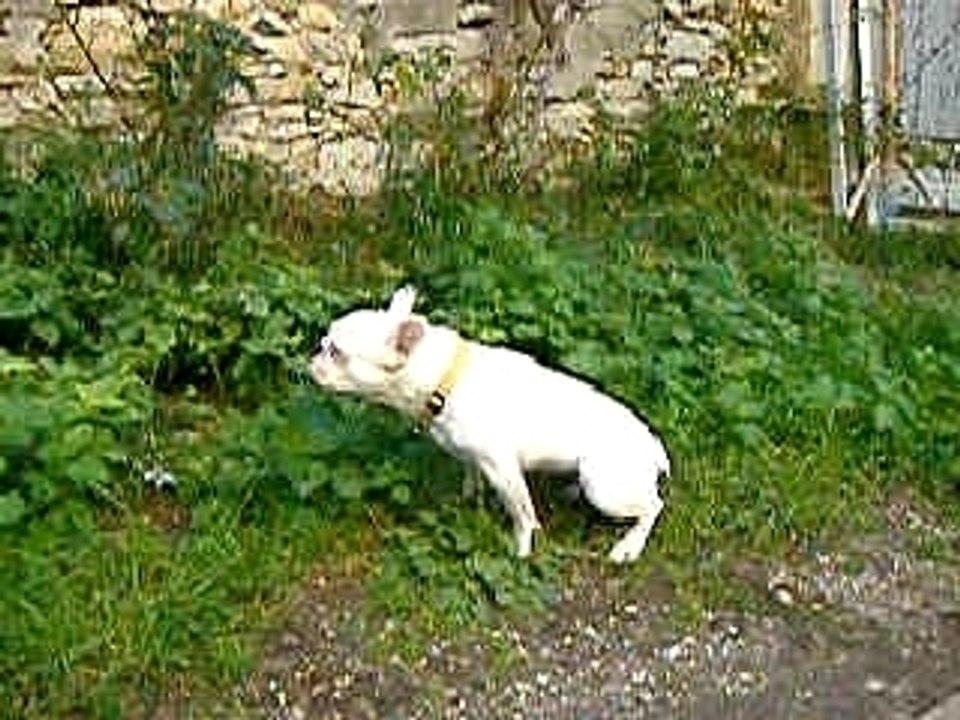 à tes souhaits Lili.