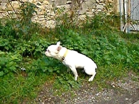 à tes souhaits Lili.