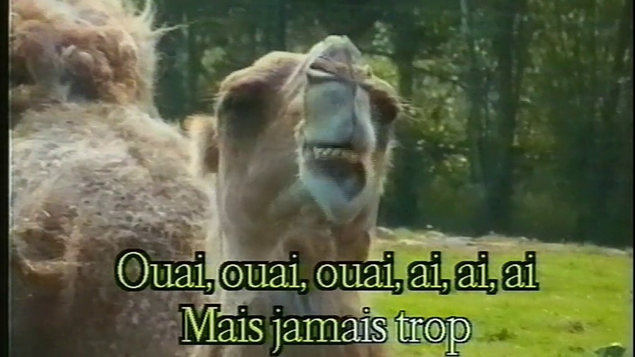 Richard Anthony  - Tu parles trop (karaoké)