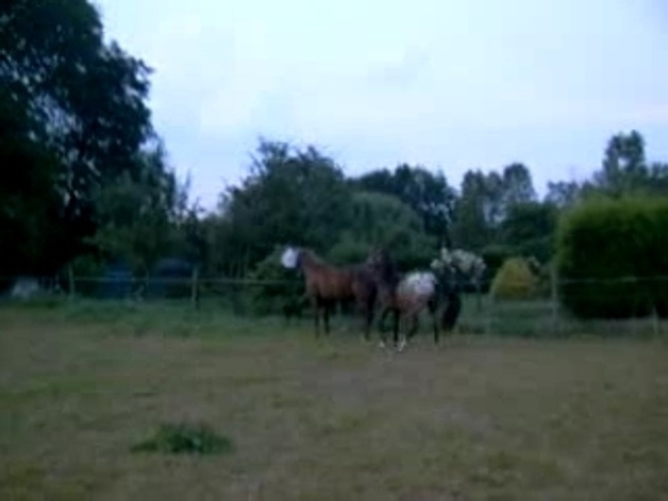trop beau regarder !!!!!