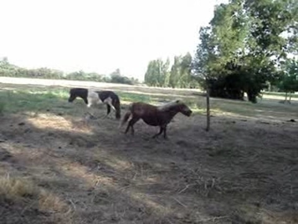les plus belles videos en une
