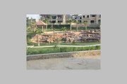 Villa for sale in Swan Lake   New Cairo city