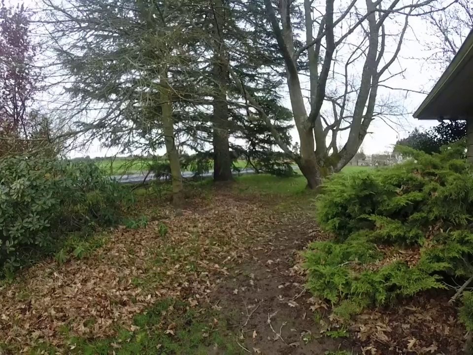 New Home 1