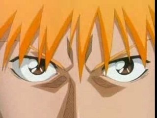 Ichigo VS Soul Society