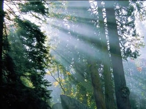 Канзас-Прашинки във вятъра