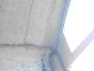 DANISH SHELL 5 APRIL 2014