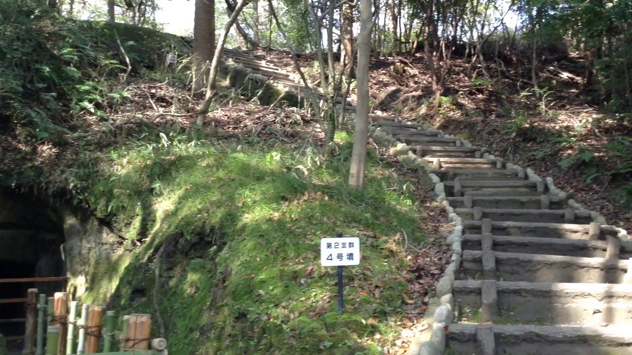 高井田横穴墓群（たかいだよこあなぼぐん）　