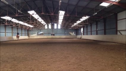 Iris et new day - Club 1 préliminaire - La varenne jarcy