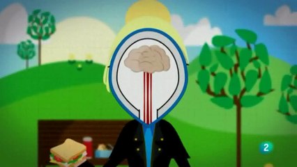 Proteinas para adelgazar: Poder saciante