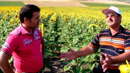 muammer amca tanıtım