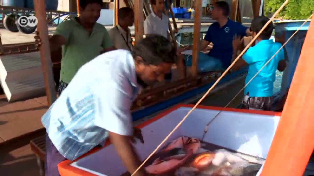 Malediven: regenwälder der meere | global 3000