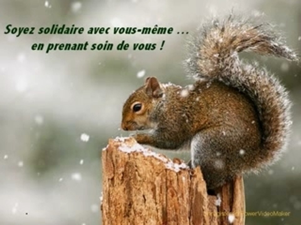 BONNE ANNEE !!!