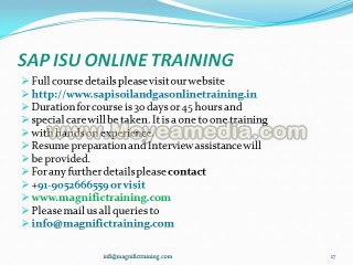 sap isu online training by IT experts