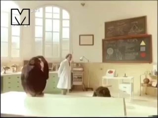 şempanzeden doktora insanlık dersi (ONUR ECRİN)