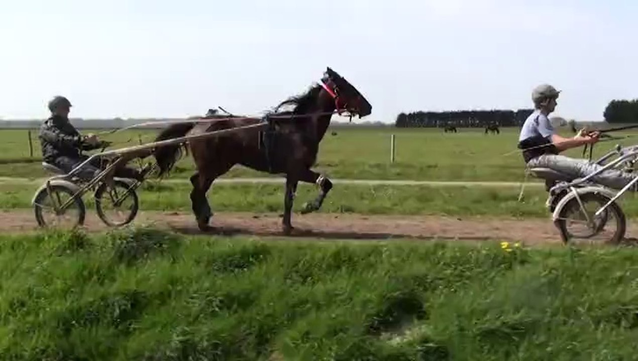 CONTEUR DE BLONDEL ET CETTE NOBLESSE EN PISTE