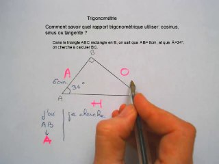 choixRapport