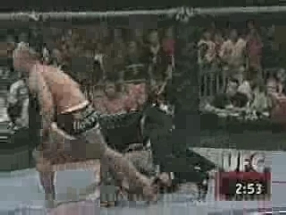 Free Fight