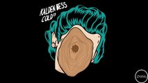 Kalden Bess - Cold (Original Mix) [Phobiq]