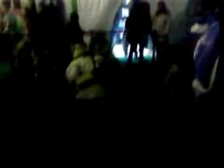 Vache folle Milka !!!!!