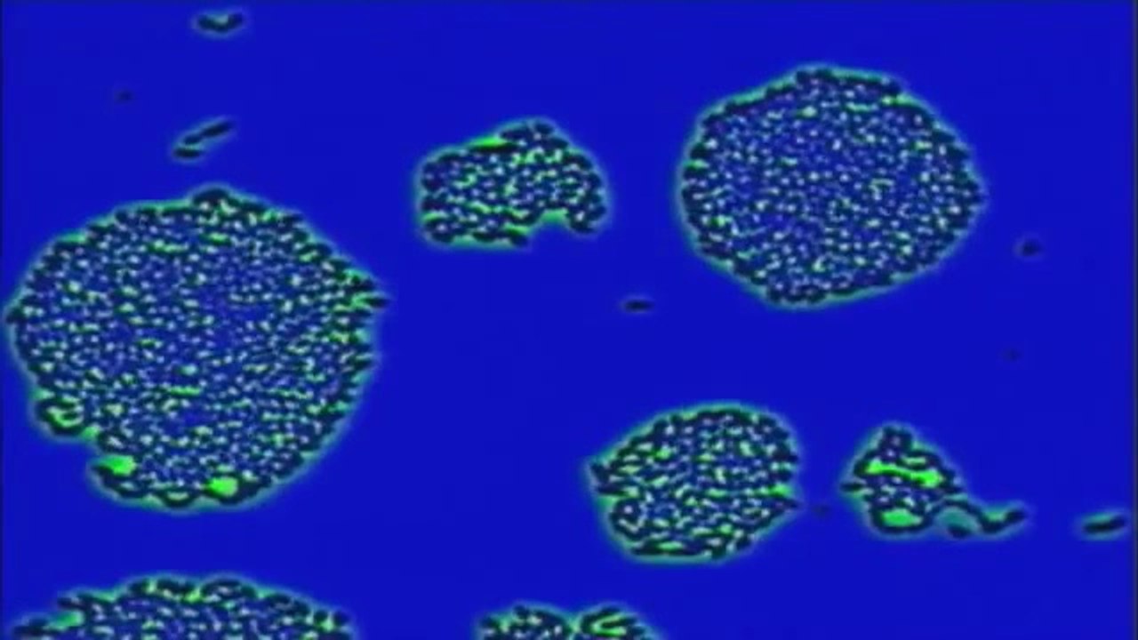 Alien Planets Like Earth  [2014 Documentary] NEW