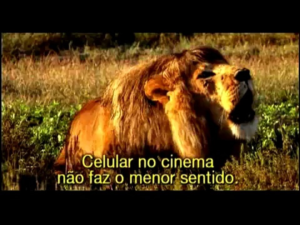 Leao