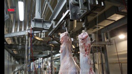 Hydraulic Transfer Station (Hidrolik Aktarma İstasyonu) CEMSAN