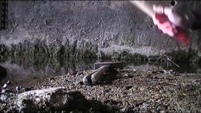 Marteau contre Marteau