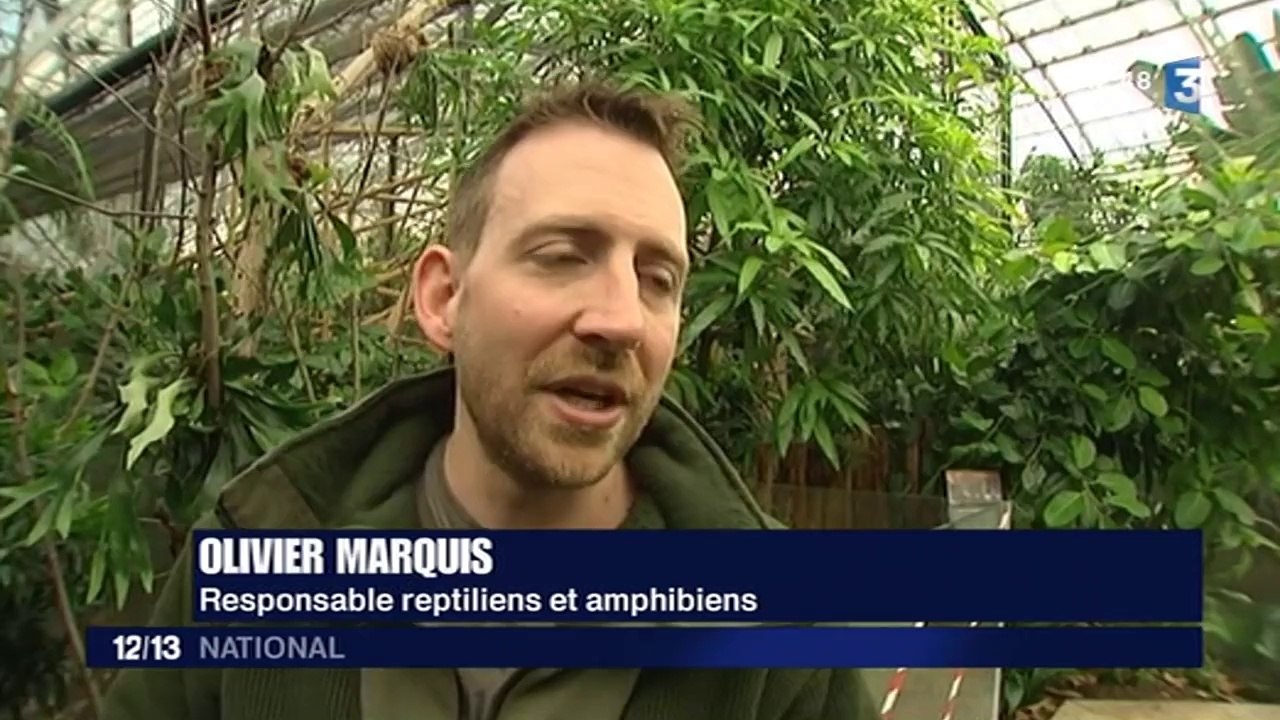 Rénové et métamorphosé, le zoo de Vincennes mise sur la biodiversité