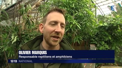 Rénové et métamorphosé, le zoo de Vincennes mise sur la biodiversité
