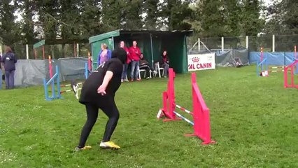 FASHION VICTIME GAGNE LE JUMPING PLUS A ABBEVILLE 2014