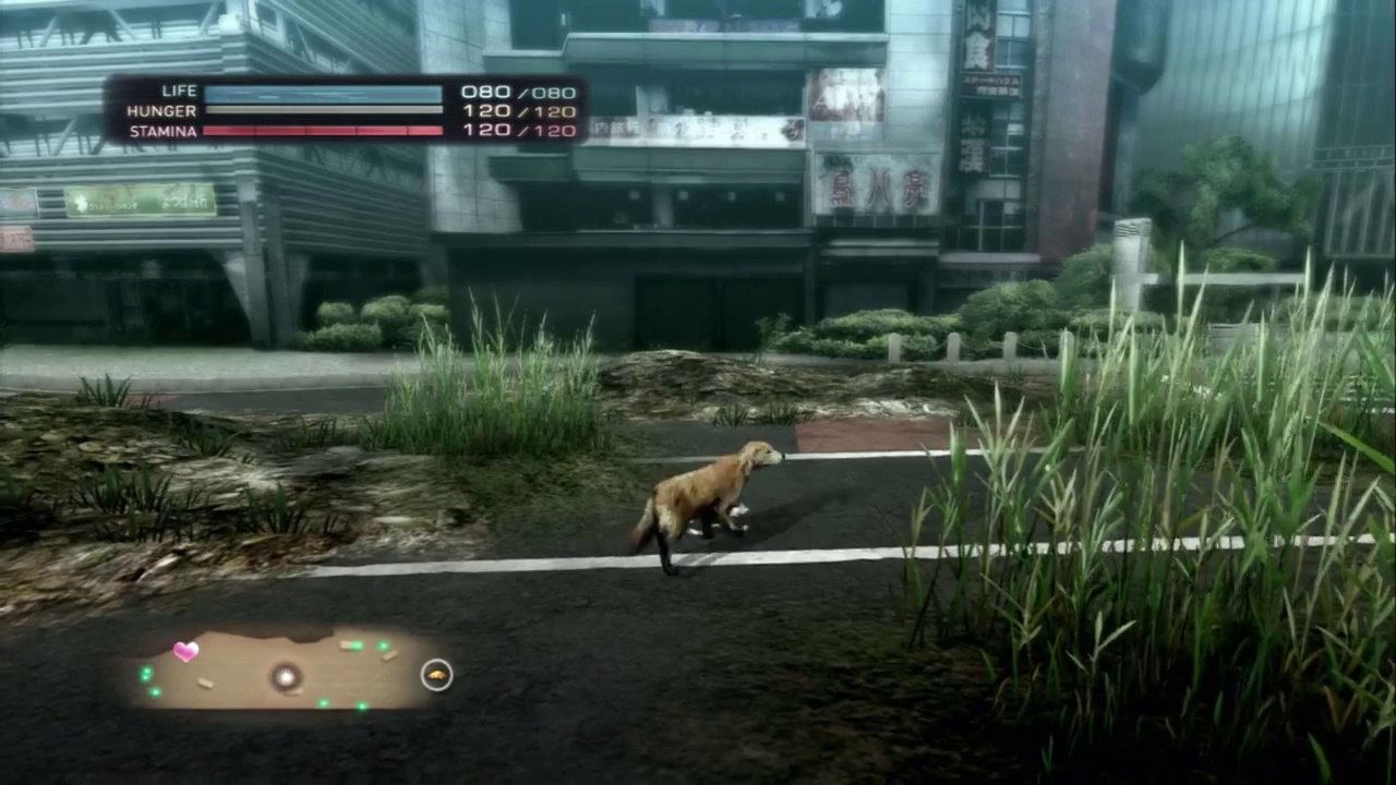 Tutorial - Tokyo Jungle #1